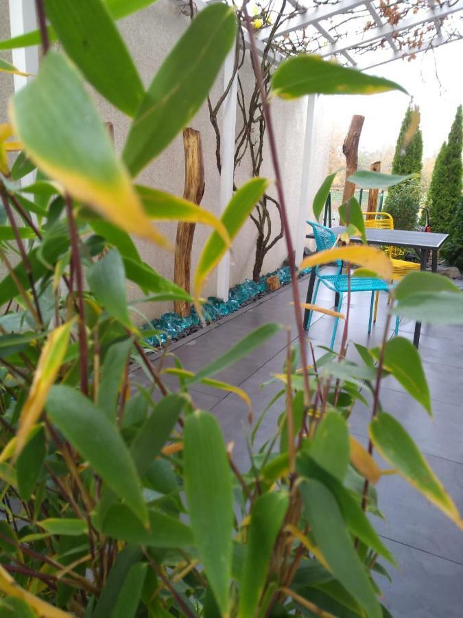 Art & Nature Apartments In Der Naehe Ffm-Messe Bad Vilbel Exterior foto
